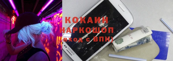 гашик Березники